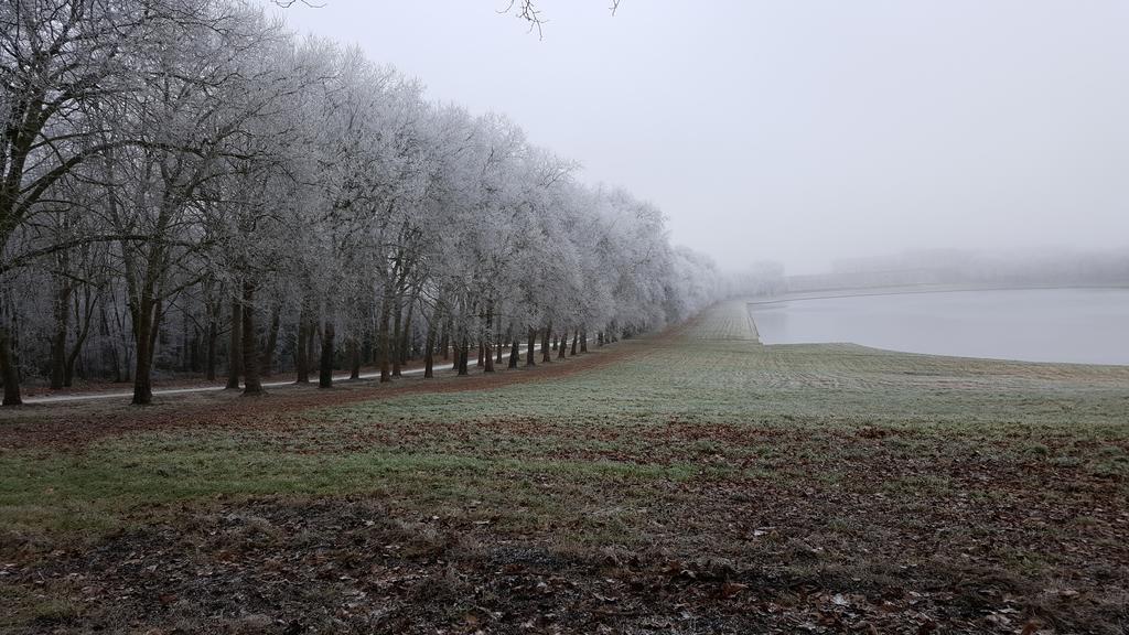 Appartamento Les Carrés Versailles Esterno foto